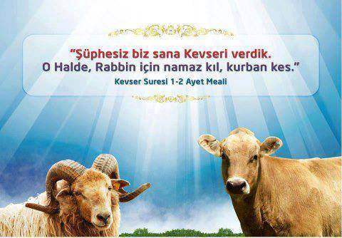 KURBAN YAKINLIKTIR,YAKLAŞMAKTIR